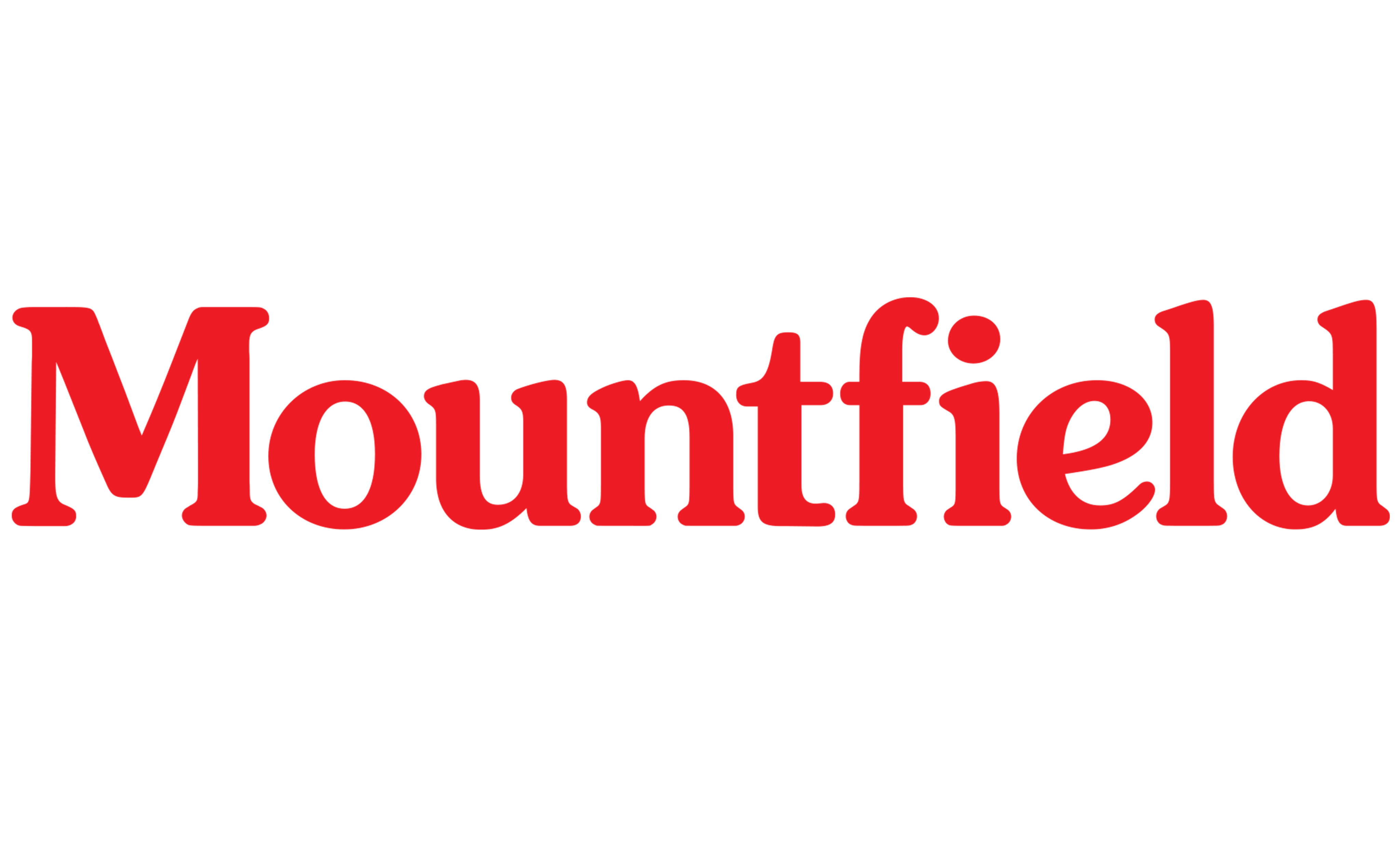 MOUNTFIELD Leták